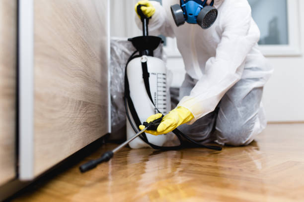 Best Ant Control Services  in Dobbs Ferry, NY