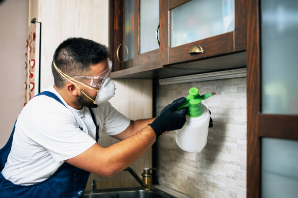 Best Cockroach Control Services  in Dobbs Ferry, NY