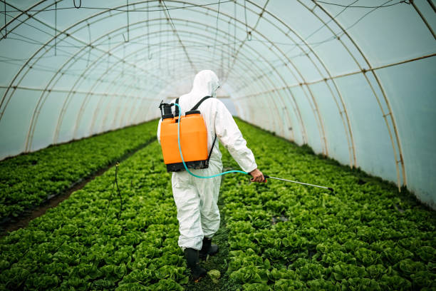Best Pest Prevention Services  in Dobbs Ferry, NY