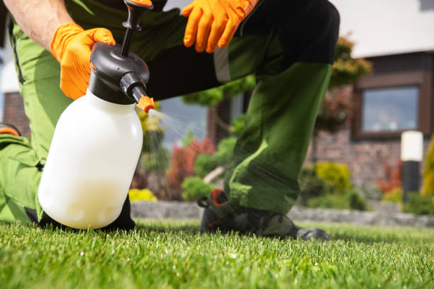 Best Pest Control for Homes  in Dobbs Ferry, NY