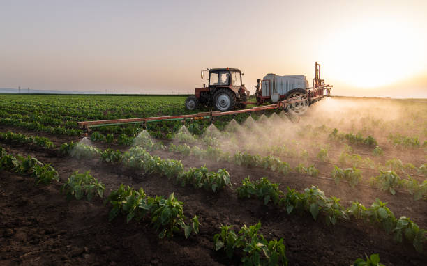 Best Commercial Pest Control Services  in Dobbs Ferry, NY