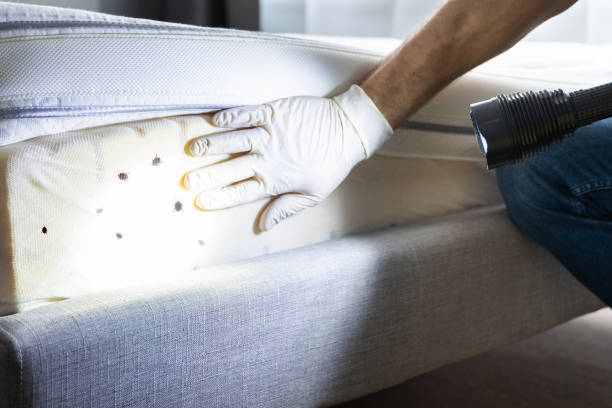 Best Wildlife Control Services  in Dobbs Ferry, NY