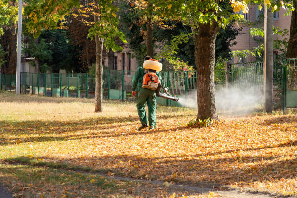 Reliable Dobbs Ferry, NY Pest Control Solutions