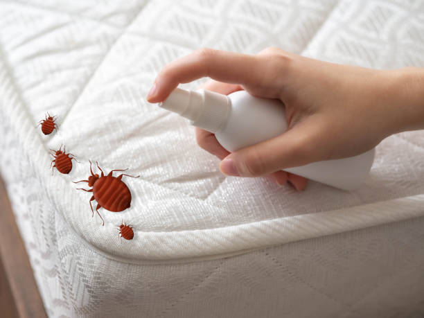 Best Pest Removal Services  in Dobbs Ferry, NY