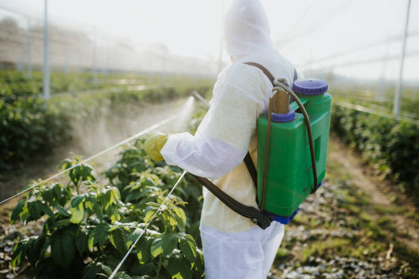 Pest Prevention Services in Dobbs Ferry, NY